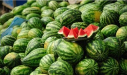 缅甸吃瓜爆料在线视频,揭秘热门视频背后的真相与幕后故事